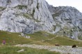 /album/galerie-de-photos-rando-a-la-tournette-jean-marc-flo-8-sept-2015/img-1681-jpg/