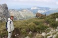 /album/galerie-de-photos-rando-a-la-tournette-jean-marc-flo-8-sept-2015/img-1713-jpg/