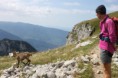 /album/galerie-de-photos-rando-a-la-tournette-jean-marc-flo-8-sept-2015/img-1729-jpg/